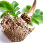 L-Arabinose powder